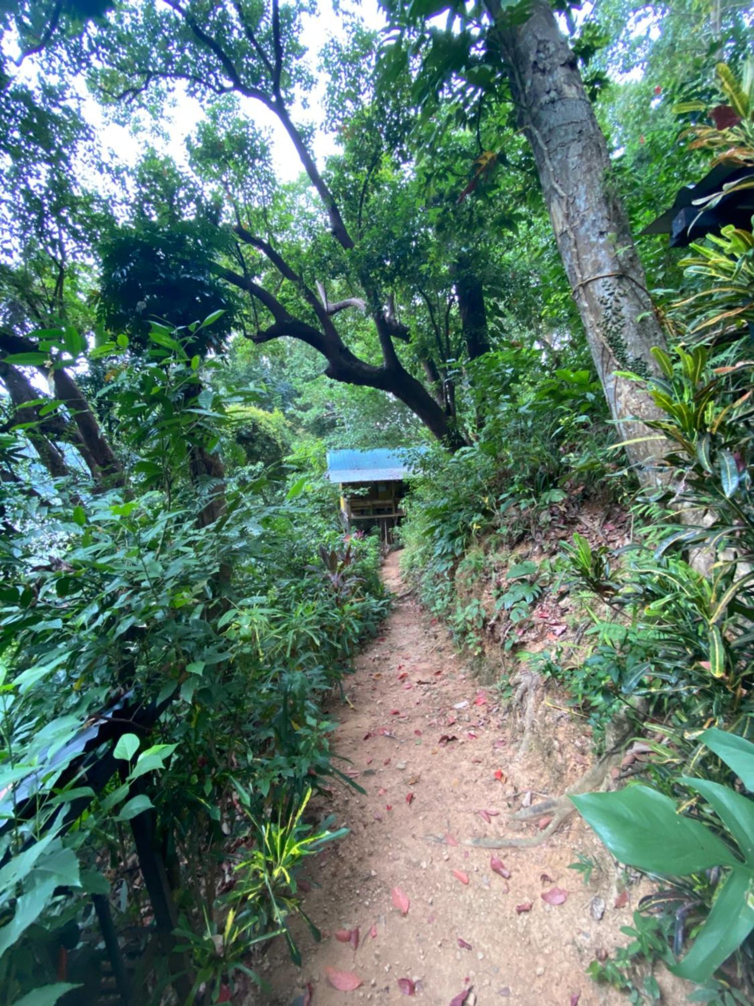 Camp Talusi Hilltop Overlooking El Nido Exterior photo