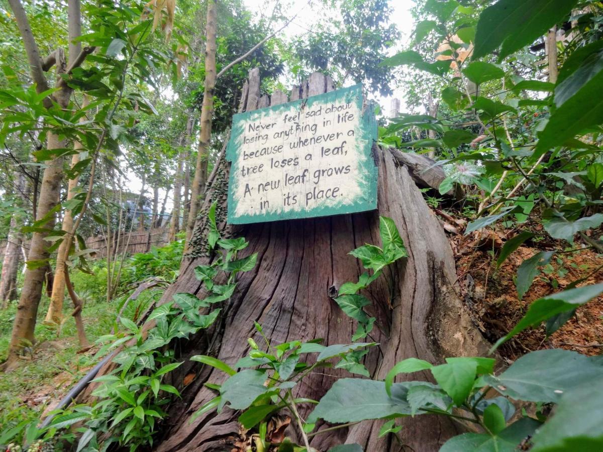 Camp Talusi Hilltop Overlooking El Nido Exterior photo