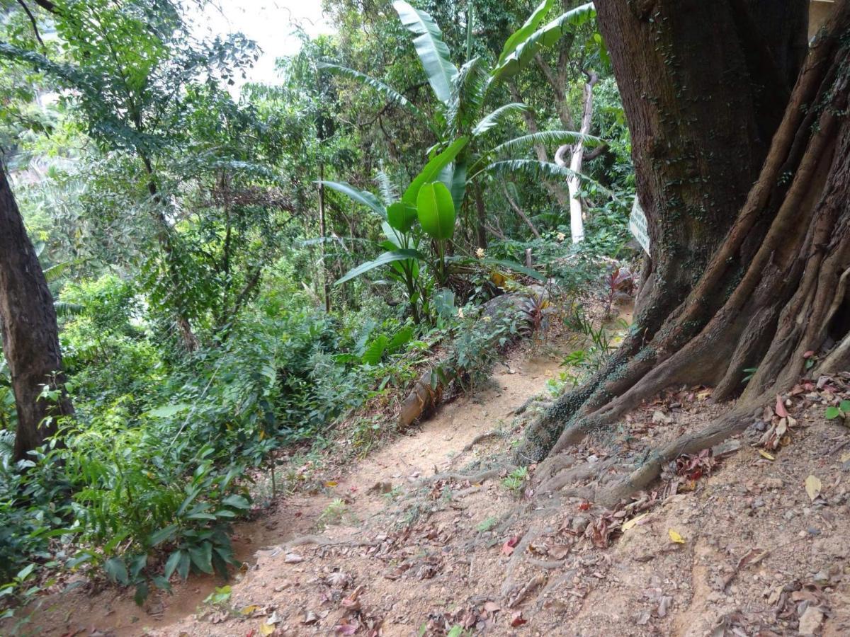 Camp Talusi Hilltop Overlooking El Nido Exterior photo