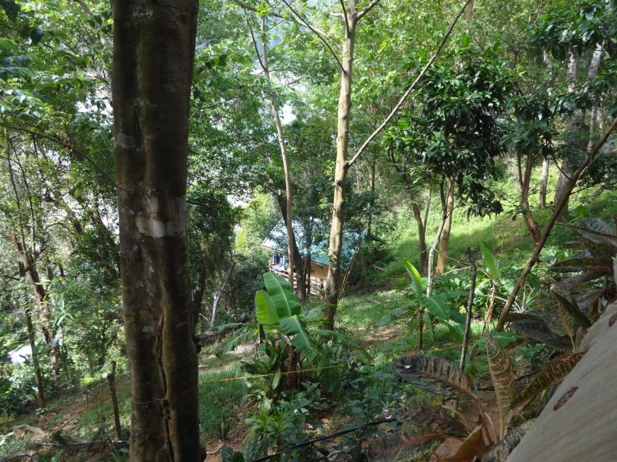 Camp Talusi Hilltop Overlooking El Nido Exterior photo